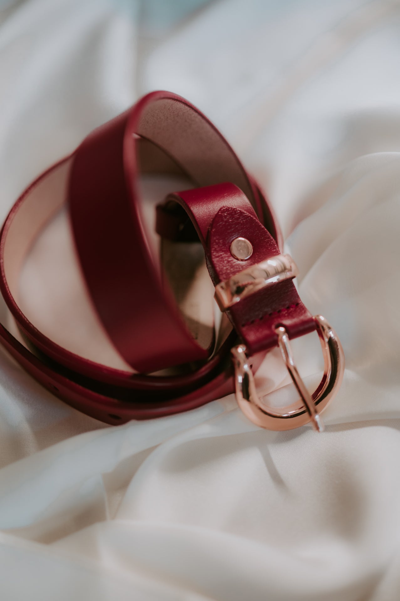 Asilo belt I Bordeaux - Wild Souls by JV® - Belts