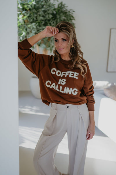 Cane sweater I Brown - Wild Souls by JV® - Sweaters