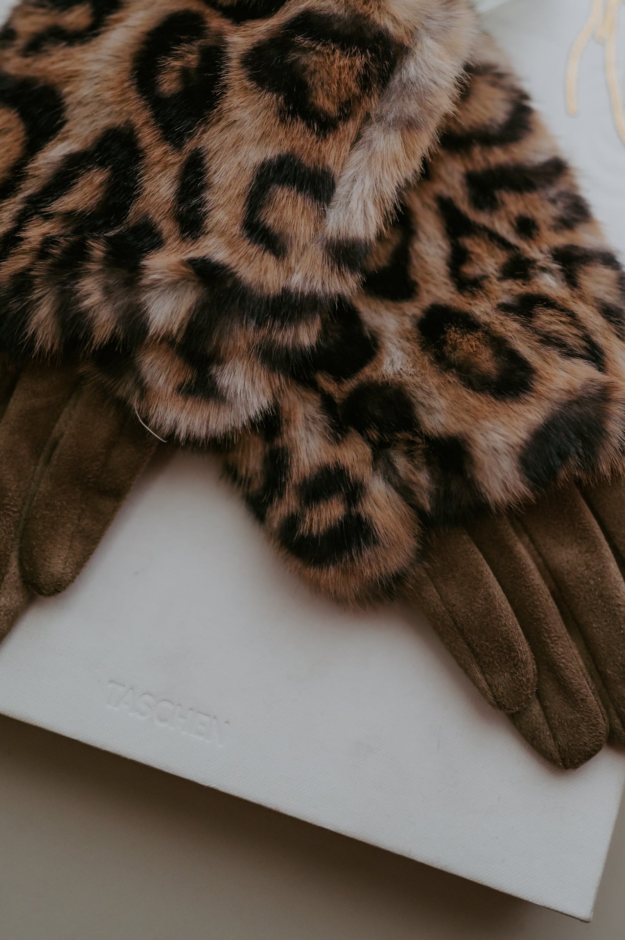 Scimmia gloves I Leopard - Wild Souls by JV® - Gloves