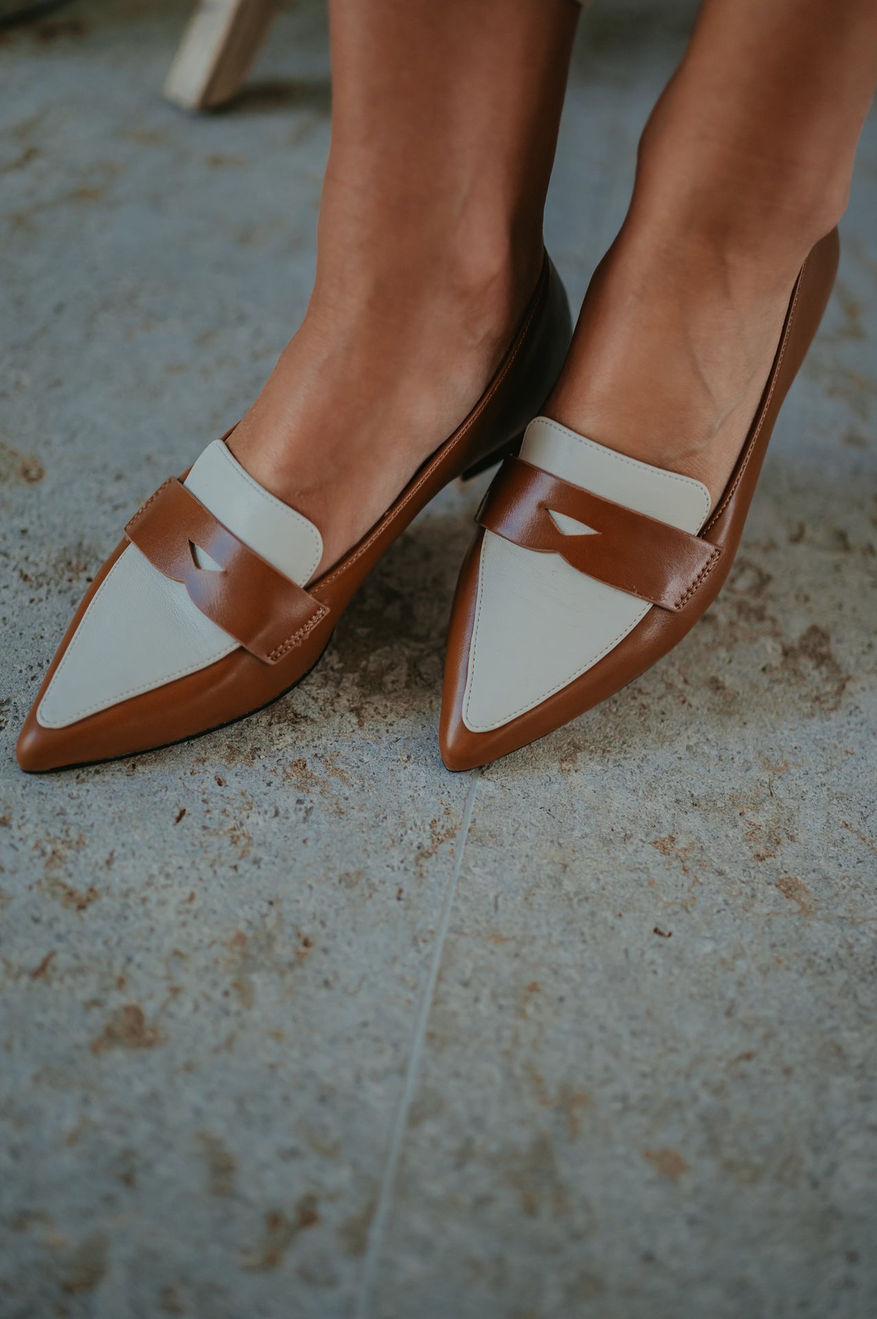 Soave loafers I Camel - Wild Souls by JV® - Loafers